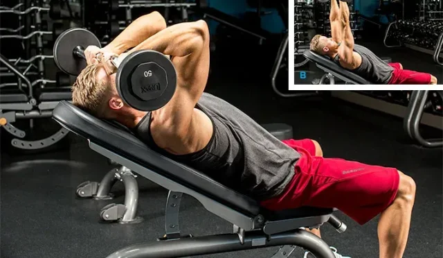 Skull Crushers Mastering Perfect Form for Stronger Triceps  Wealth Health  Tech  Your Guide to Success Skull Crushers Mastering Perfect Form for Stronger Triceps