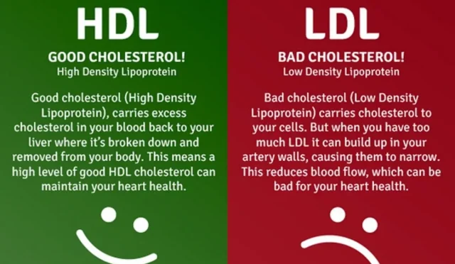 LDL Cholesterol Management Tips for Optimization Success