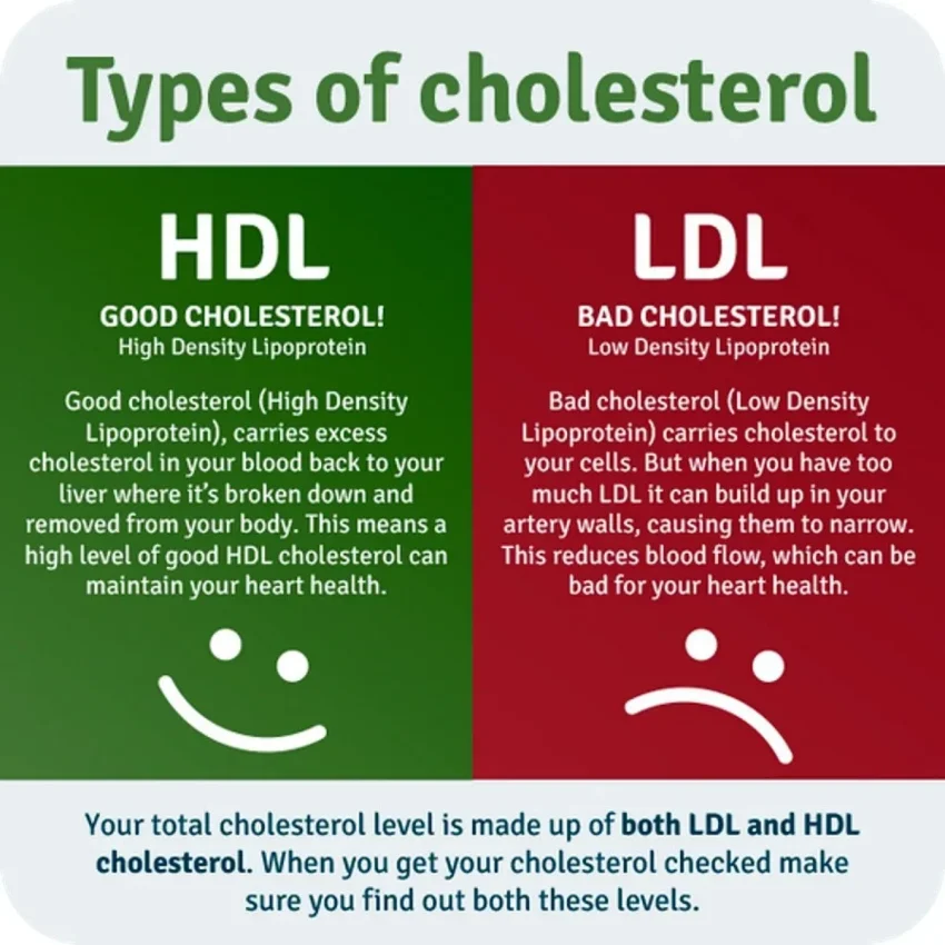 LDL Cholesterol Management: Tips for Optimization Success