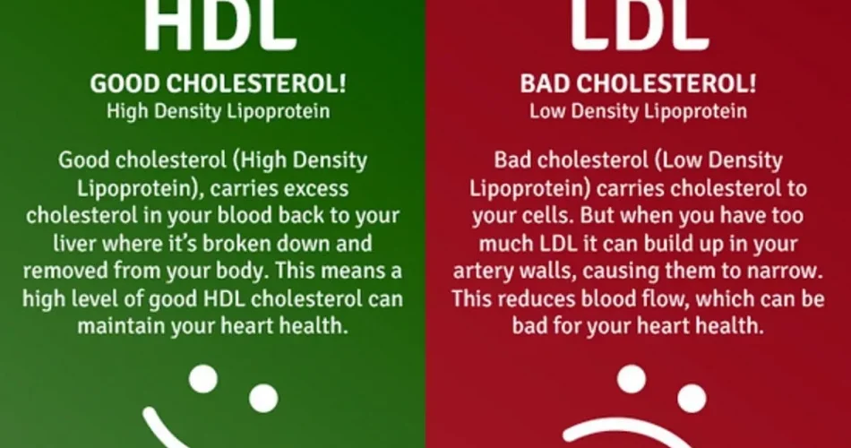 LDL Cholesterol Management: Tips for Optimization Success