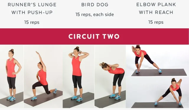 Fitness Routines Transform Your Health in 2025  Wealth Health  Tech  Your Guide to Success Fitness Routines Transform Your Health in 2025