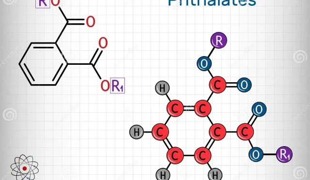 Phthalates Essential Information and Health Risks Explained  Wealth Health  Tech  Your Guide to Success Phthalates Essential Information and Health Risks Explained
