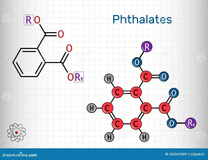 Phthalates: Essential Information and Health Risks Explained
