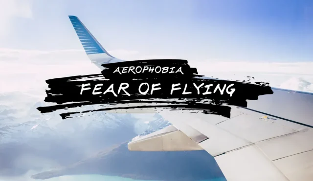 Fear of Flying Overcoming Anxiety During Flights  Wealth Health  Tech  Your Guide to Success Fear of Flying Overcoming Anxiety During Flights