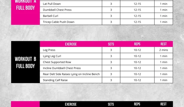 Fitness Plan From Beginner to Beast with Our Steps  Wealth Health  Tech  Your Guide to Success Fitness Plan From Beginner to Beast with Our Steps
