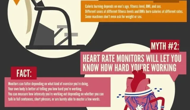 Fitness Myths What You Should Really Know About Exercise  Wealth Health  Tech  Your Guide to Success Fitness Myths What You Should Really Know About Exercise