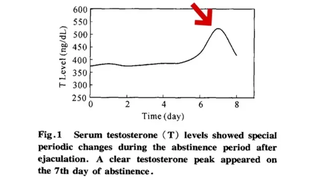 Masturbation and Testosterone What You Need to Know  Wealth Health  Tech  Your Guide to Success Masturbation and Testosterone What You Need to Know