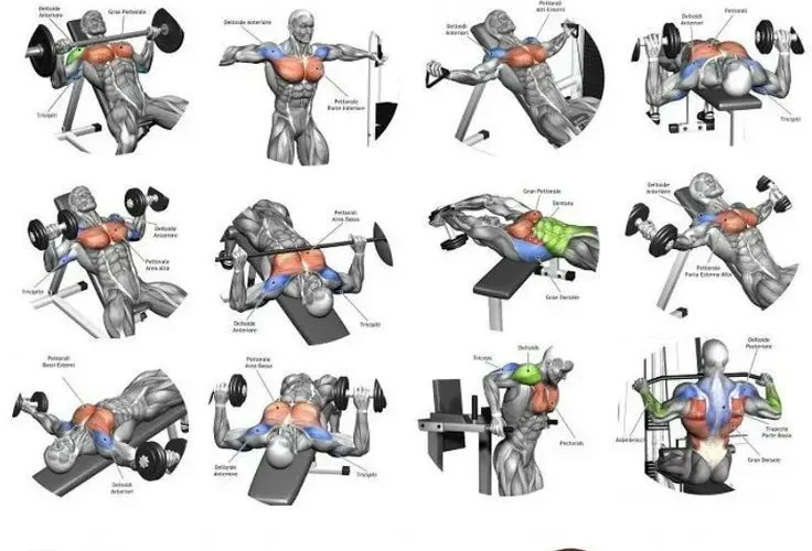 Inner Chest Workout: Best Exercises for Mass Gains