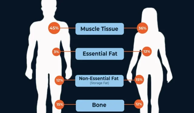Body Composition Metrics Understanding Your Health Numbers  Wealth Health  Tech  Your Guide to Success Body Composition Metrics Understanding Your Health Numbers
