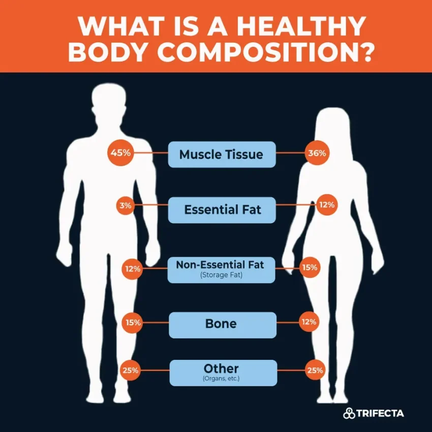 Body Composition Metrics: Understanding Your Health Numbers