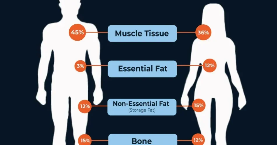 Body Composition Metrics: Understanding Your Health Numbers