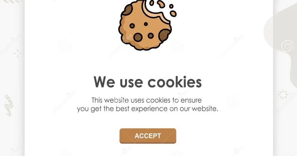 Cookies Usage on Websites: Understanding Their Importance