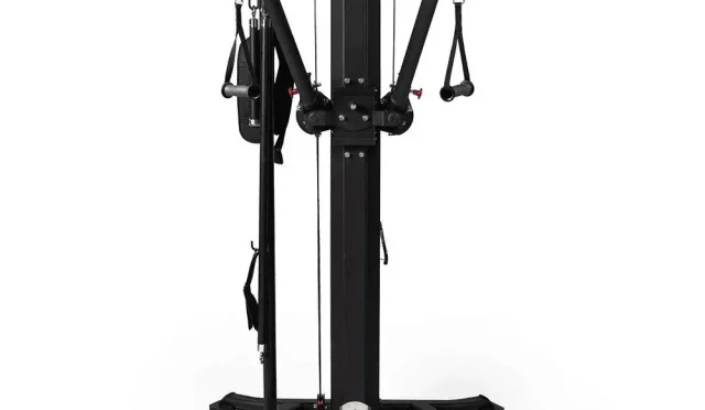 Nemesis 300 LB Functional Trainer Unleash Your Strength