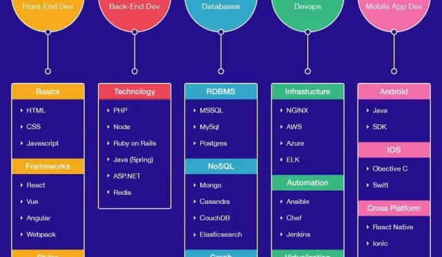 Full Stack Developer Opportunities in Python and Reactjs  Wealth Health  Tech  Your Guide to Success Full Stack Developer Opportunities in Python and Reactjs