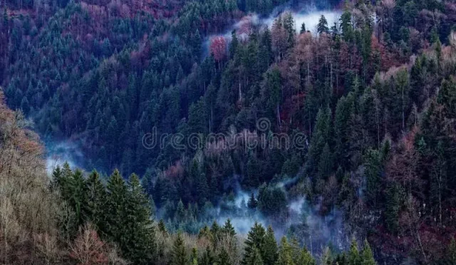 NEBBIA Sale Enjoy Discounts Up to 70 on Fitness Wear  Wealth Health  Tech  Your Guide to Success NEBBIA Sale Enjoy Discounts Up to 70 on Fitness Wear