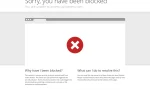 image_N4OK3R6VJY.webp