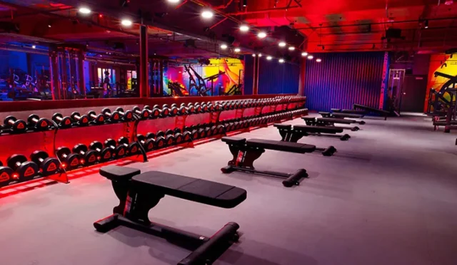 John Reed Fitness Exclusive Summer Special Membership Offer  Wealth Health  Tech  Your Guide to Success John Reed Fitness Exclusive Summer Special Membership Offer