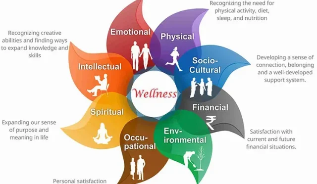 Holistic Fitness Embracing Mind Body and Soul Wellness  Wealth Health  Tech  Your Guide to Success Holistic Fitness Embracing Mind Body and Soul Wellness