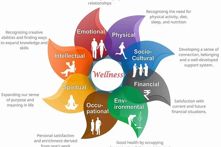 Holistic Fitness: Embracing Mind, Body, and Soul Wellness