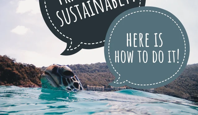 Sustainable Travel Tips EcoFriendly Adventures Await  Wealth Health  Tech  Your Guide to Success Sustainable Travel Tips Eco Friendly Adventures Await