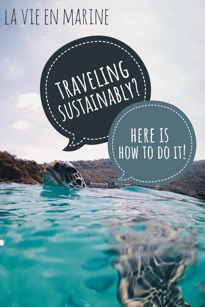 Sustainable Travel Tips: Eco-Friendly Adventures Await