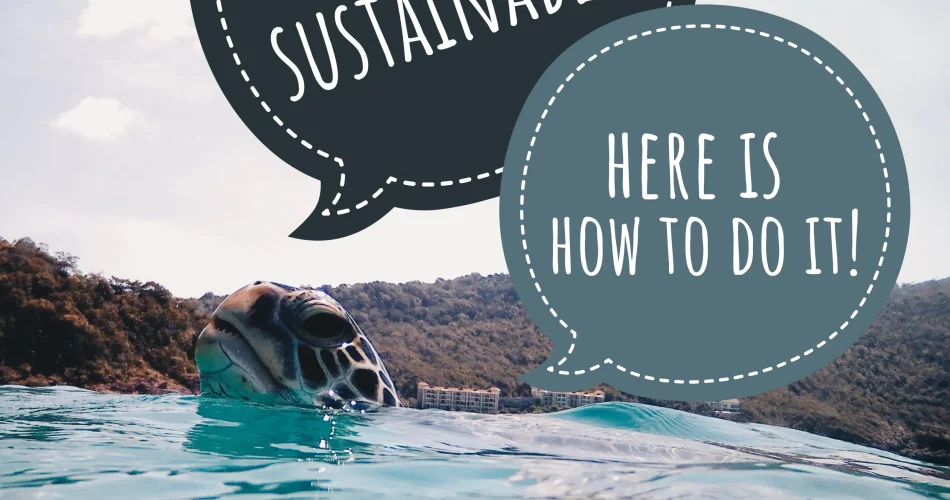 Sustainable Travel Tips: Eco-Friendly Adventures Await