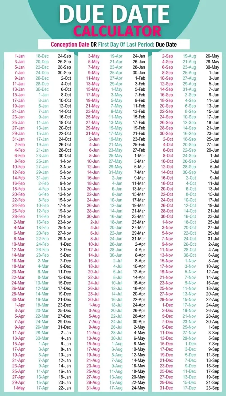 Pregnancy Due Date Calculator: Know Your Delivery Date
