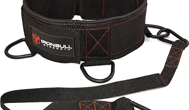 Dip Belt Unlock Your Training with This 4in1 Device  Wealth Health  Tech  Your Guide to Success Dip Belt Unlock Your Training with This 4 in 1 Device