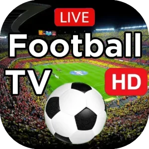 Live Football on TV: Today's Matches and Viewing Guide