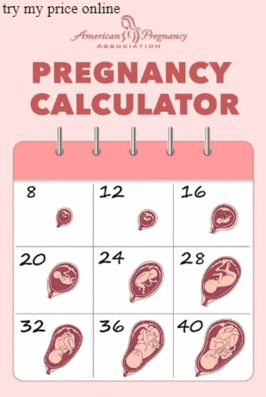 Pregnancy Test Calculator: When To Test For Results