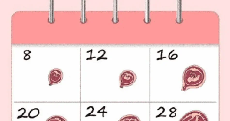 Pregnancy Test Calculator: When To Test For Results