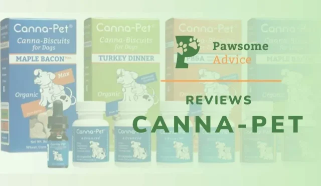 Canna Reviews Secure medAuth SignIn for Patients  Wealth Health  Tech  Your Guide to Success Canna Reviews Secure medAuth Sign In for Patients