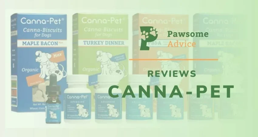 Canna Reviews: Secure medAuth Sign-In for Patients