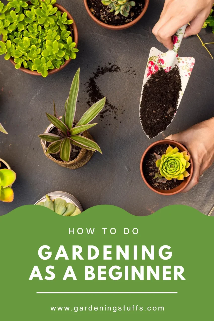 Home Gardening Tips for Beginners: Grow Your Own Food