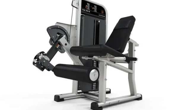 Selectorized Leg Extension Machine for Optimal Leg Workouts  Wealth Health  Tech  Your Guide to Success Selectorized Leg Extension Machine for Optimal Leg Workouts