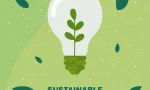 Sustainable Living: 10 Eco-Friendly Tips for Everyone