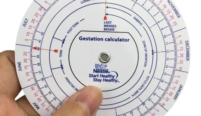 Gestational Calculator Find Your Due Date Easily  Wealth Health  Tech  Your Guide to Success Gestational Calculator Find Your Due Date Easily