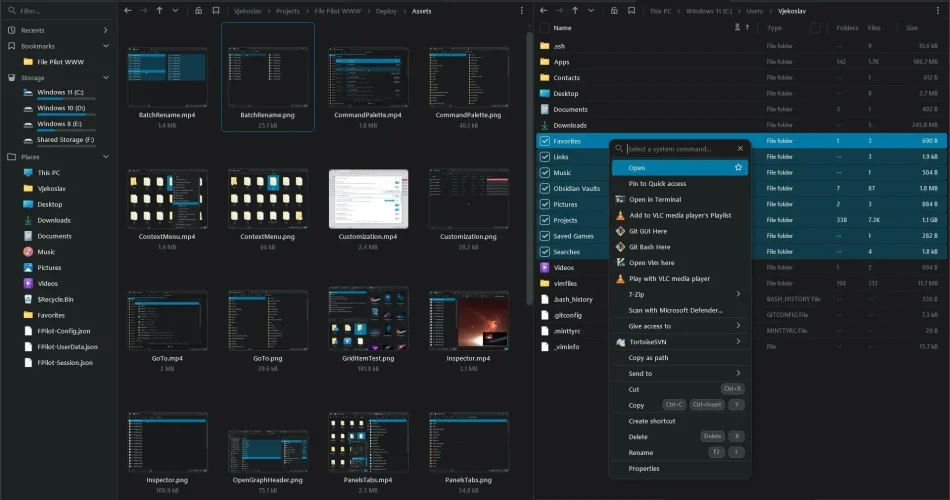 File Pilot: The Next-Gen File Explorer You Need