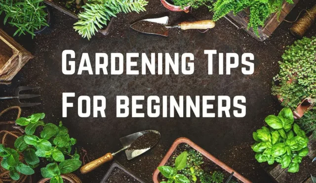 Best Gardening Tips Grow a Thriving Garden Today  Wealth Health  Tech  Your Guide to Success Best Gardening Tips Grow a Thriving Garden Today