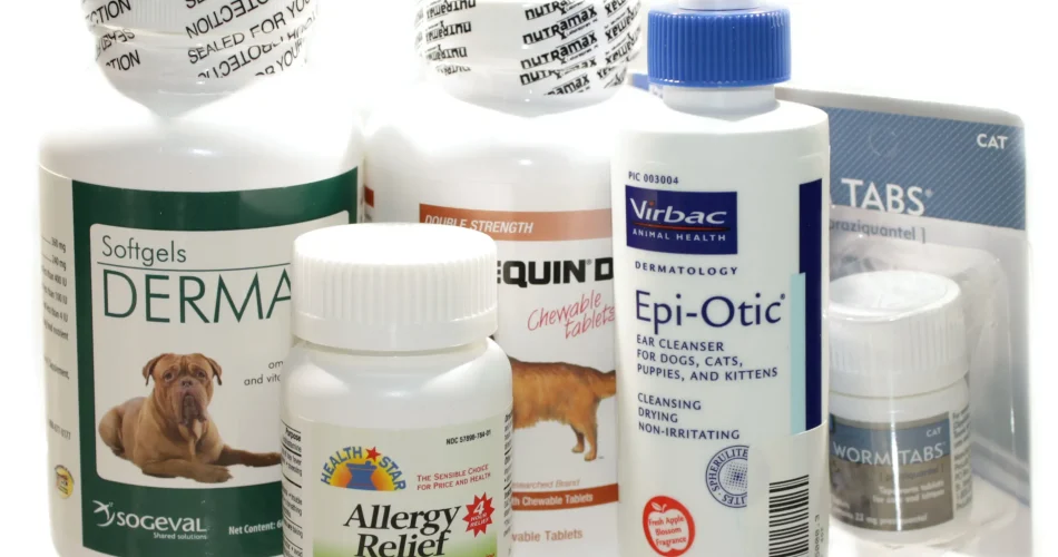 Pet Medication Made Easy: Affordable Solutions for Pets