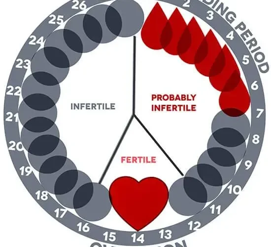Period Calculator: Easily Predict Your Next Cycle
