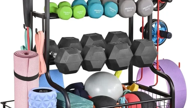 Home Gym Storage Optimize Your Space with Smart Solutions  Wealth Health  Tech  Your Guide to Success Home Gym Storage Optimize Your Space with Smart Solutions