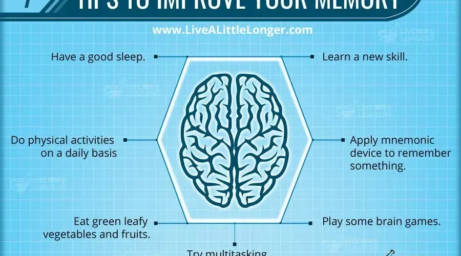 Best Ways to Improve Memory: Techniques for a Sharper Mind