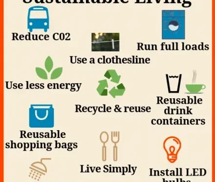 Sustainable Living Tips Embrace a Greener Lifestyle  Wealth Health  Tech  Your Guide to Success Sustainable Living Tips Embrace a Greener Lifestyle