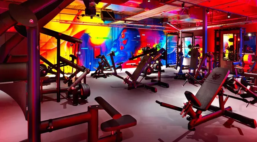 John Reed Gym: Experience Workouts Like Never Before