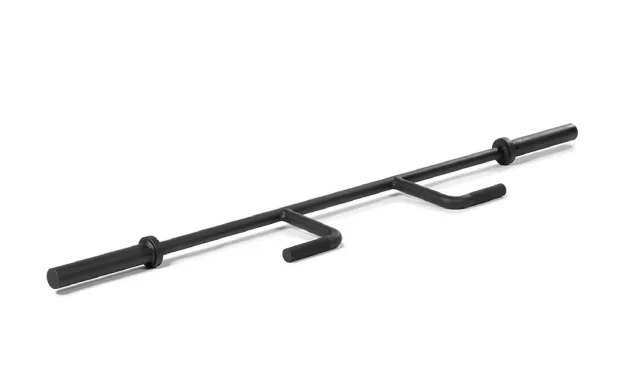 Seal Row Bar Enhance Your Upper Back Workout Today  Wealth Health  Tech  Your Guide to Success Seal Row Bar Enhance Your Upper Back Workout Today