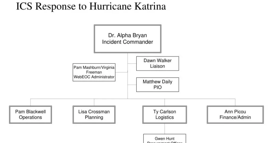 image_TAPOXZREFEwebp