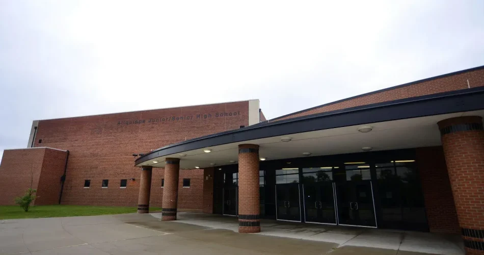 image_X4893LBWP9webp