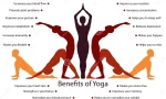 Benefits of Yoga: Transform Your Mind and Body