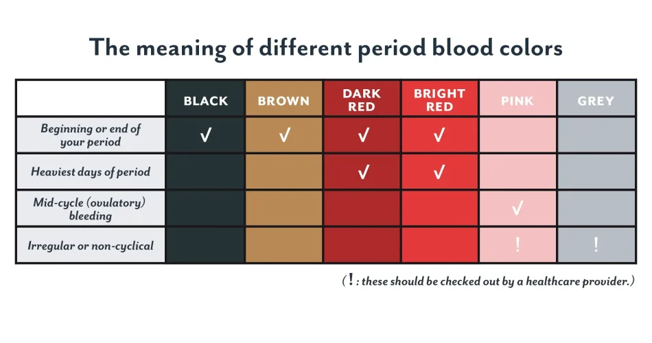 image_356ULCXG15webp